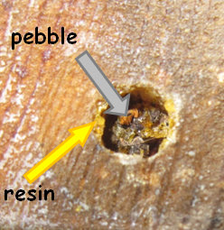 resin-pebble
